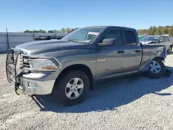 Dodge Vehiculos salvage en venta: 2009 Dodge RAM 1500