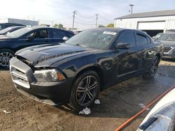 Dodge salvage cars for sale: 2014 Dodge Charger R/T