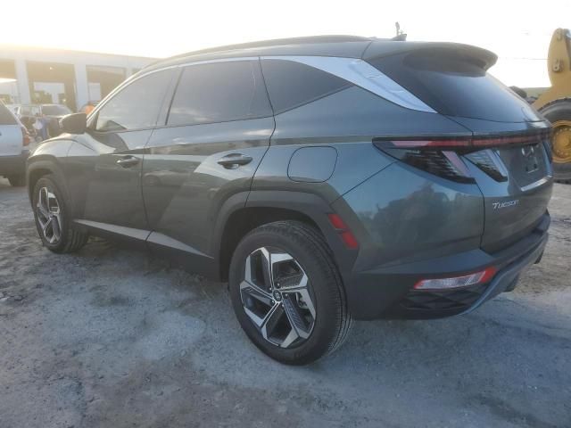 2023 Hyundai Tucson Limited