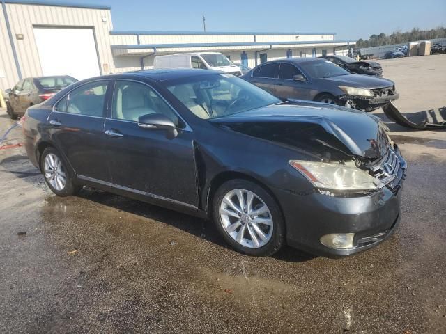 2010 Lexus ES 350