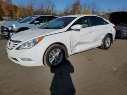 Hyundai Vehiculos salvage en venta: 2013 Hyundai Sonata GLS