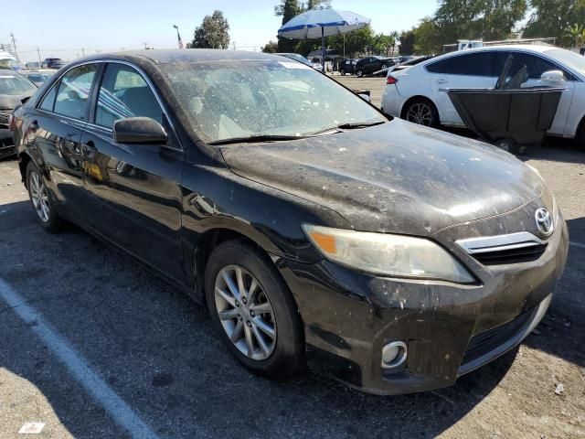 2010 Toyota Camry Hybrid