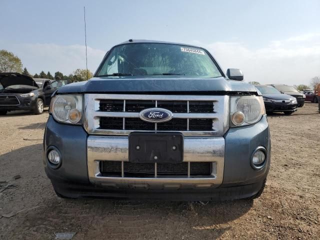 2011 Ford Escape Limited