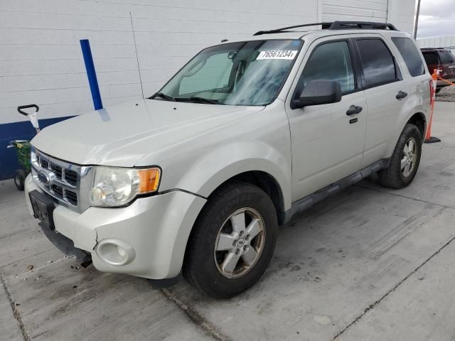 2009 Ford Escape XLT