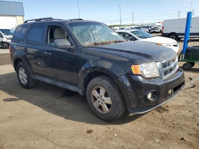 2011 Ford Escape XLT