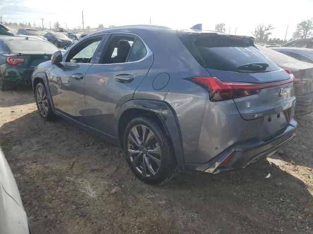 2019 Lexus UX 200