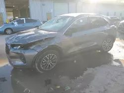 Salvage cars for sale at York Haven, PA auction: 2023 Ford Escape