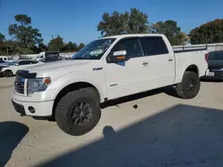 Ford salvage cars for sale: 2014 Ford F150 Supercrew