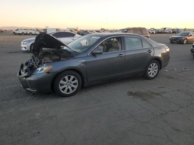 2009 Toyota Camry Hybrid