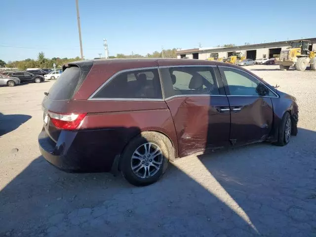 2013 Honda Odyssey EXL