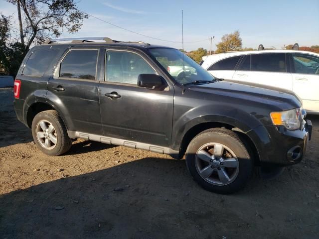 2012 Ford Escape Limited