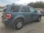 2010 Ford Escape Limited