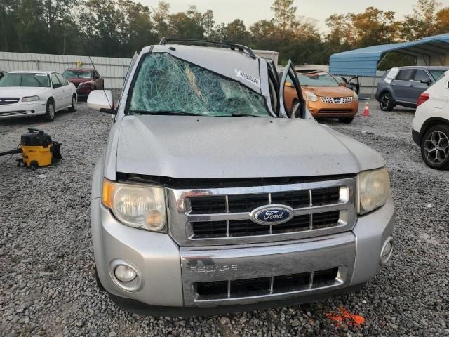 2010 Ford Escape Limited