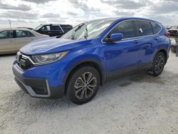 Salvage cars for sale at Arcadia, FL auction: 2020 Honda CR-V EX