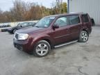 2014 Honda Pilot EXL