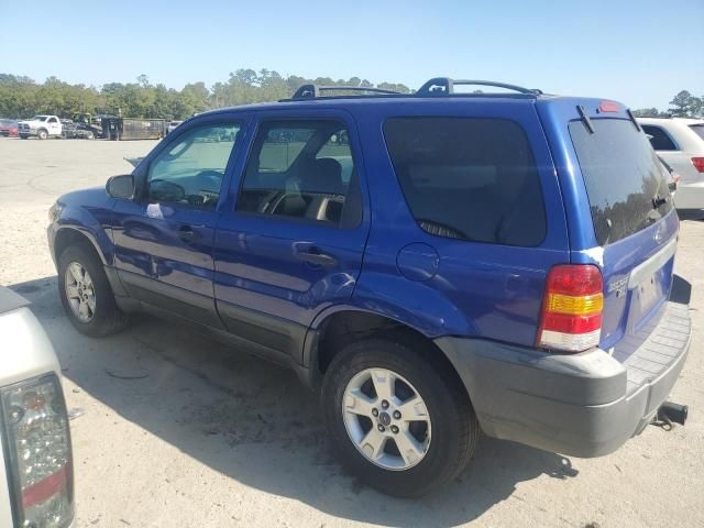 2006 Ford Escape XLT