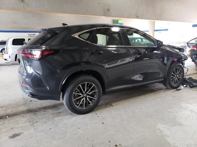 2025 Lexus NX 350 Base