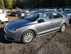 Volkswagen Vehiculos salvage en venta: 2013 Volkswagen Jetta Hybrid