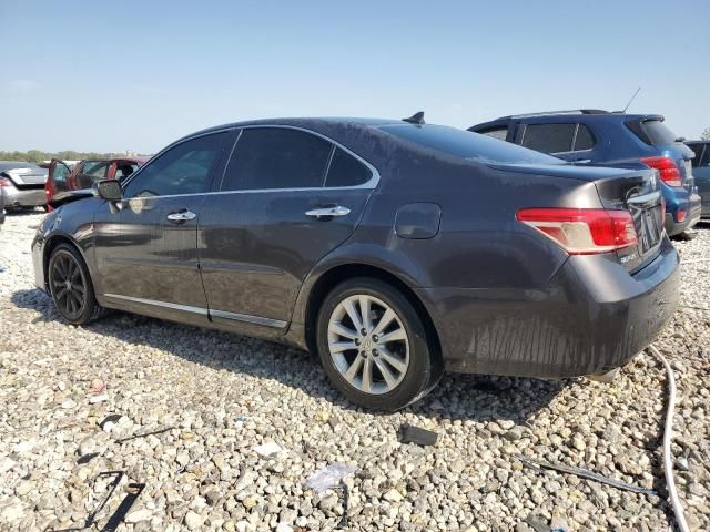 2010 Lexus ES 350