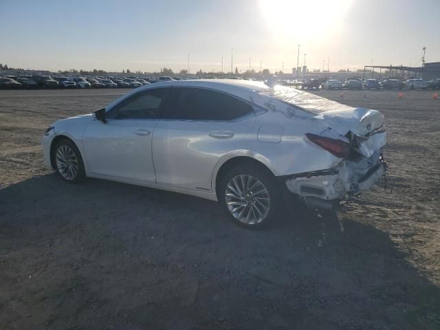 2019 Lexus ES 300H