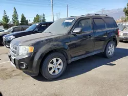 2011 Ford Escape Limited en venta en Rancho Cucamonga, CA