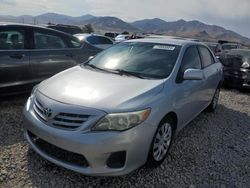 Toyota Corolla salvage cars for sale: 2013 Toyota Corolla Base