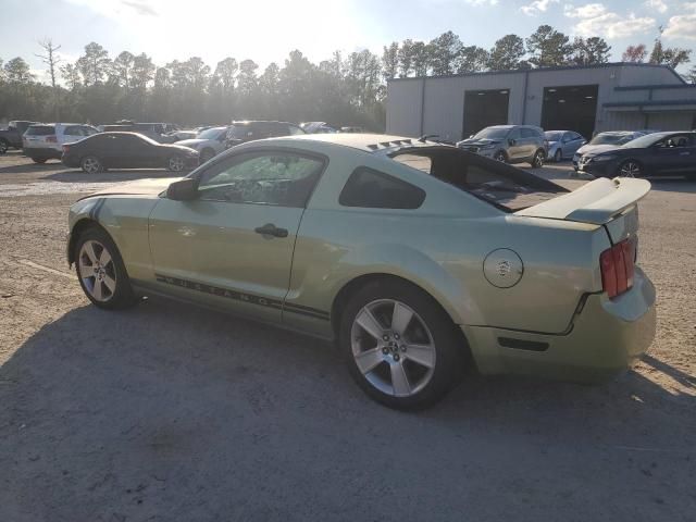 2005 Ford Mustang