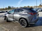 2024 Lexus NX 350 Luxury