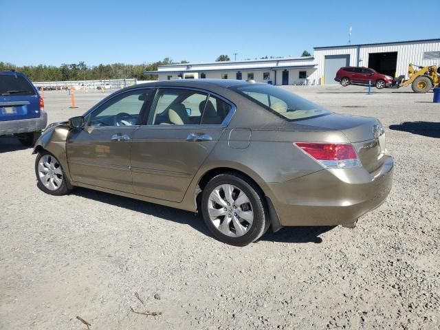 2010 Honda Accord EXL