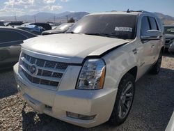 Carros salvage a la venta en subasta: 2012 Cadillac Escalade Premium