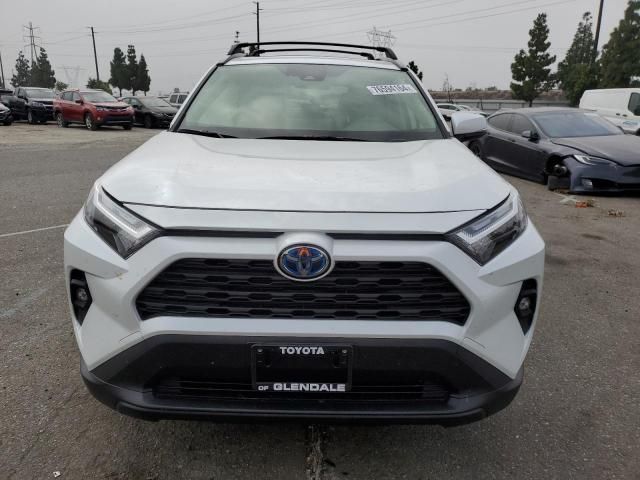 2024 Toyota Rav4 XLE Premium