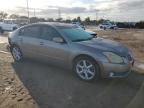 2006 Nissan Maxima SE