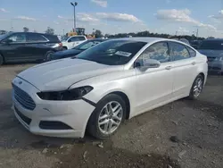 Vehiculos salvage en venta de Copart Indianapolis, IN: 2013 Ford Fusion SE