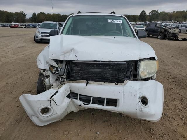 2008 Ford Escape XLT