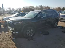 Toyota Vehiculos salvage en venta: 2023 Toyota Rav4 XLE