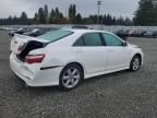 2009 Toyota Camry SE