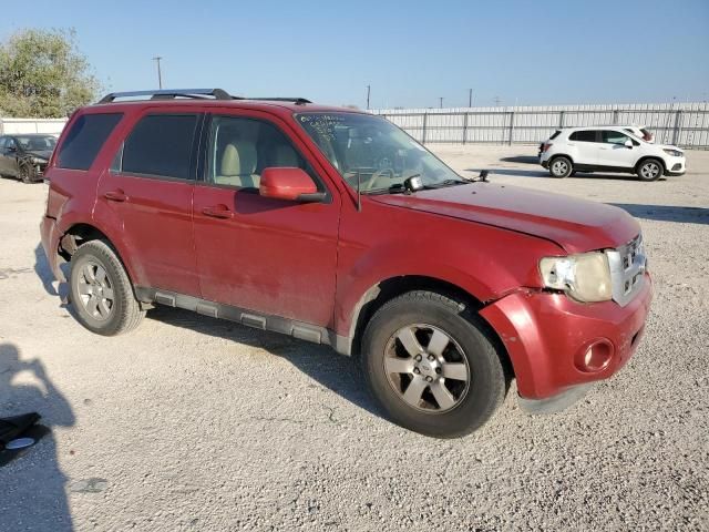 2011 Ford Escape Limited