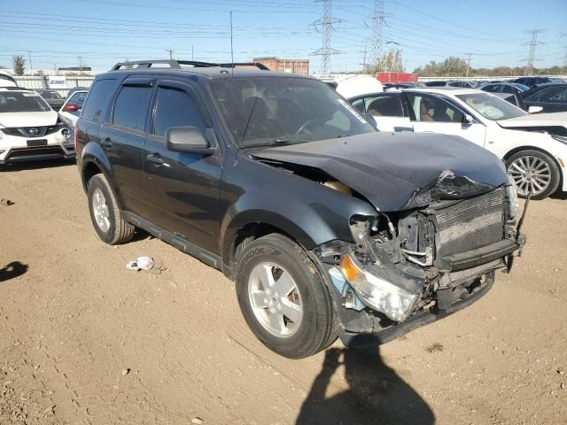 2009 Ford Escape XLT