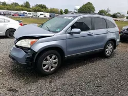 2009 Honda CR-V EXL en venta en Hillsborough, NJ