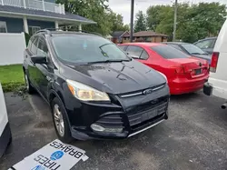 Ford salvage cars for sale: 2013 Ford Escape SE