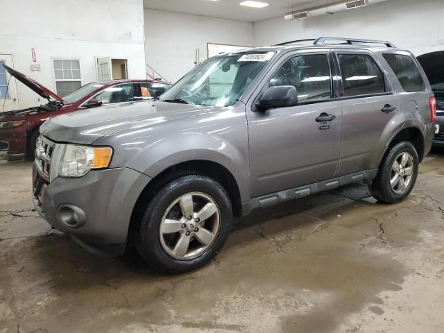 2010 Ford Escape XLT