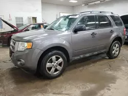 Salvage cars for sale at Davison, MI auction: 2010 Ford Escape XLT