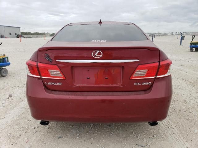 2010 Lexus ES 350