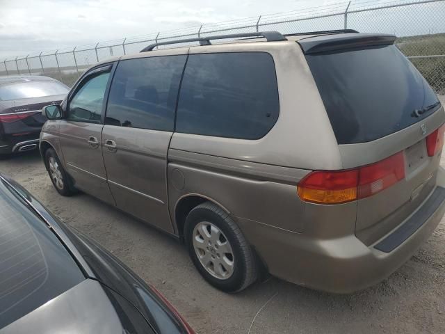 2003 Honda Odyssey EXL