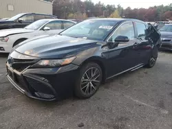 Toyota salvage cars for sale: 2023 Toyota Camry SE Night Shade