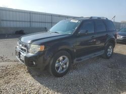 Ford Vehiculos salvage en venta: 2011 Ford Escape Limited