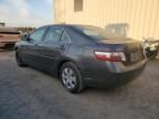 2009 Toyota Camry Hybrid