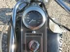 1998 Harley-Davidson Flstc