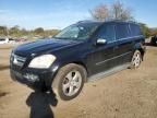 2010 Mercedes-Benz GL 450 4matic