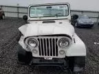 1981 Jeep Jeep CJ5